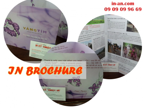In brochure giá rẻ tại Công ty TNHH In Kỹ Thuật Số - Digital Printing